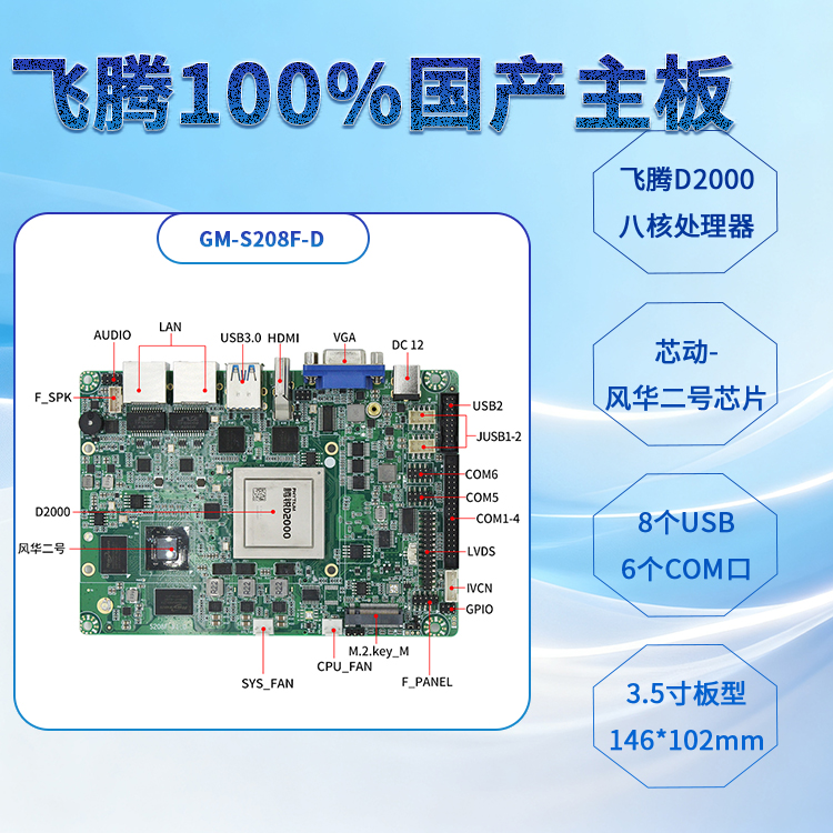 飛騰D2000/8全國產主板S208F-D(圖1)
